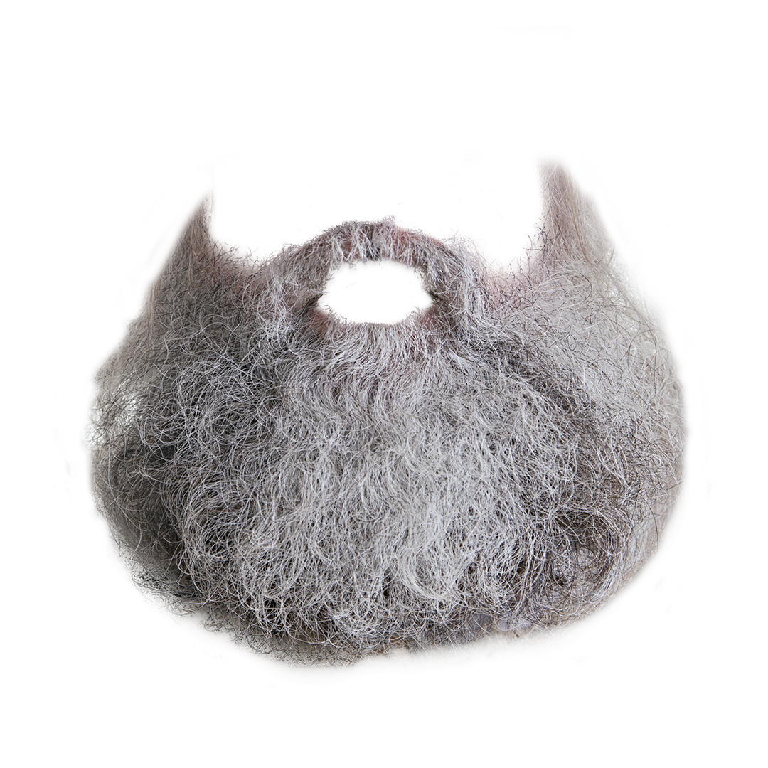 Beard PNG 6 | PNG All