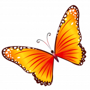 Butterfly PNG Transparent Images | PNG All