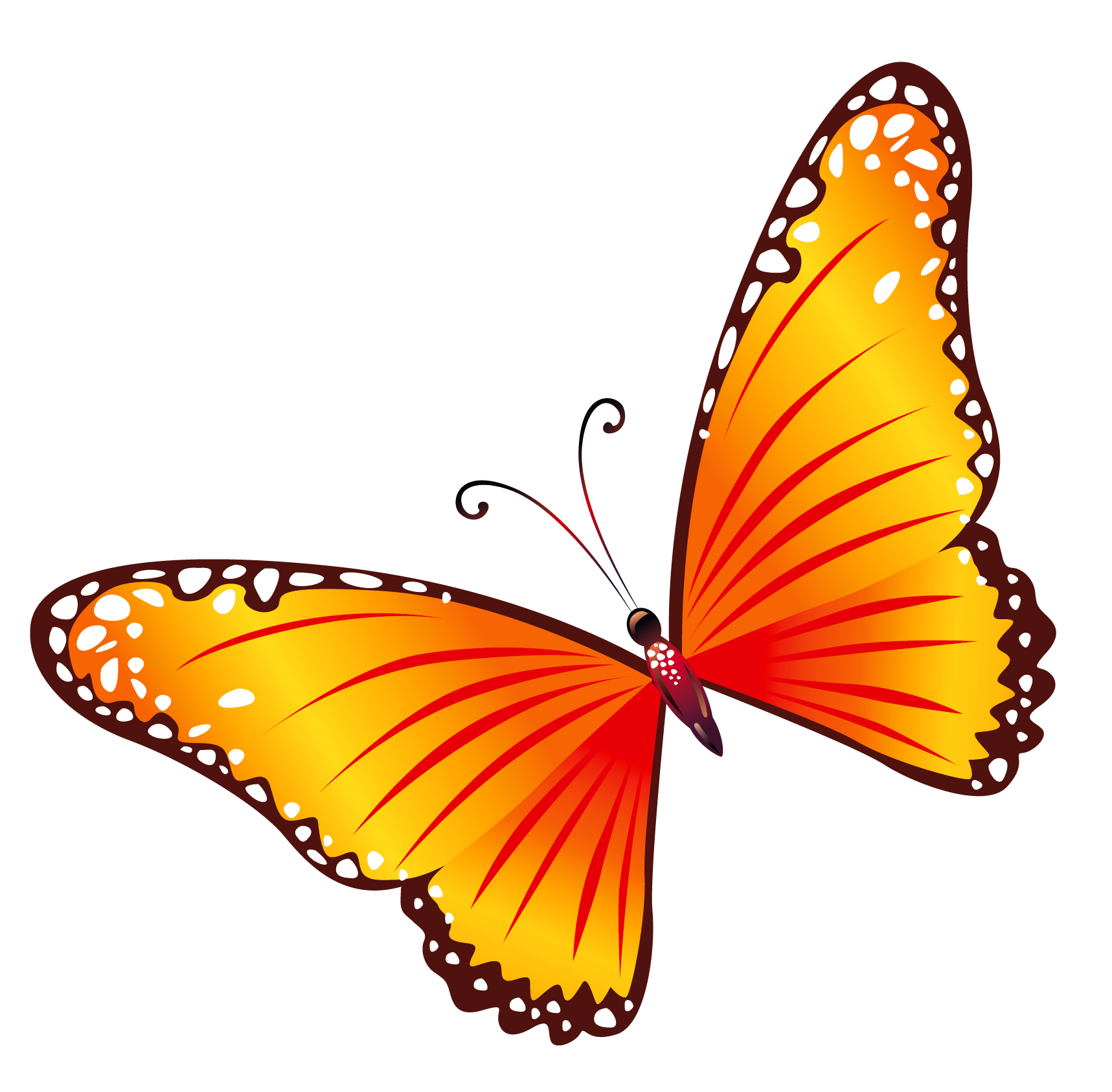 clipart pictures of butterflies - photo #34