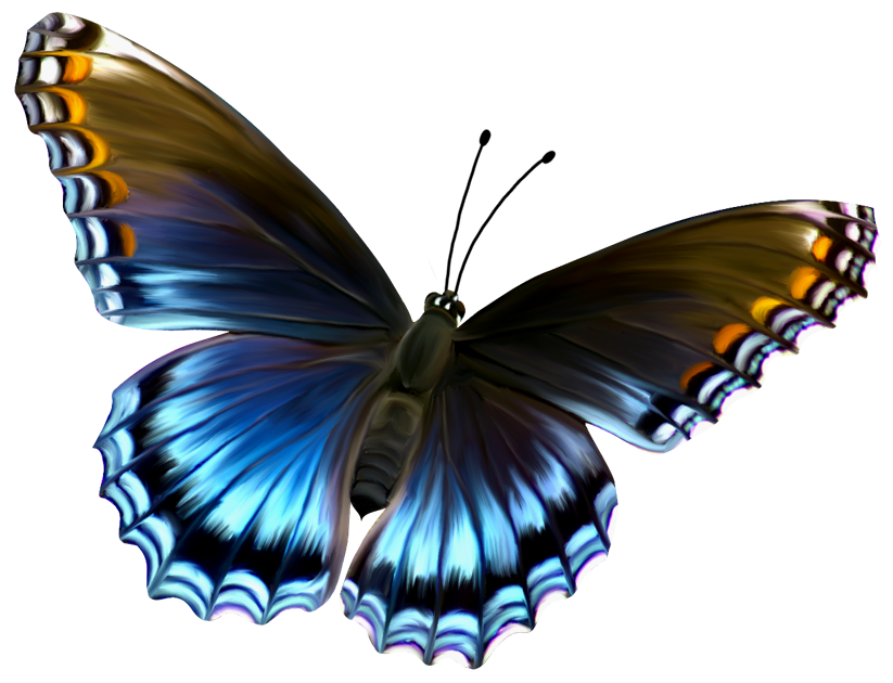 free butterfly clipart png - photo #30