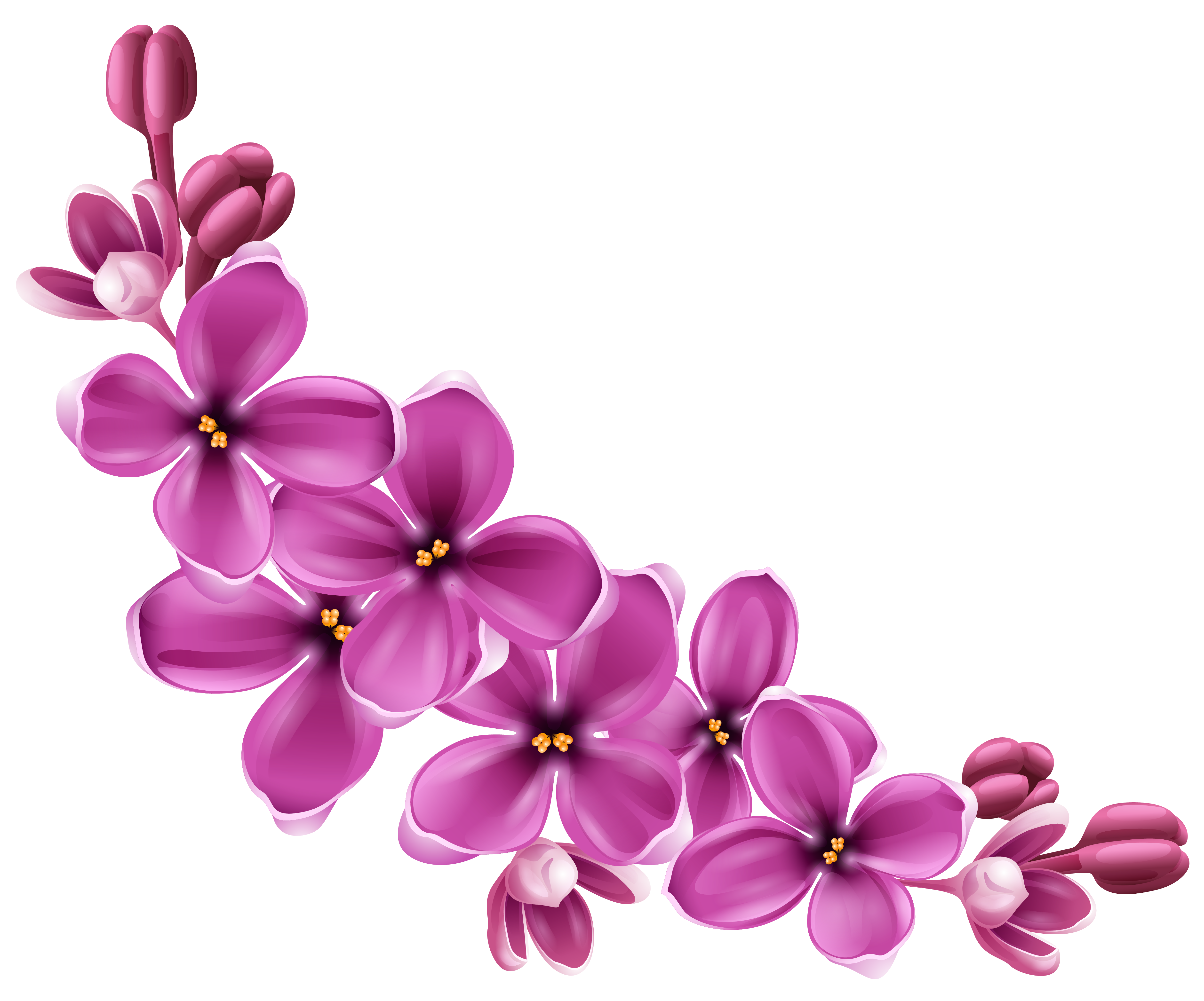 flower clipart with transparent background - photo #15