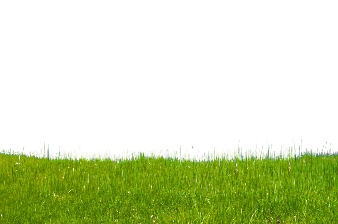 png clipart grass - photo #49