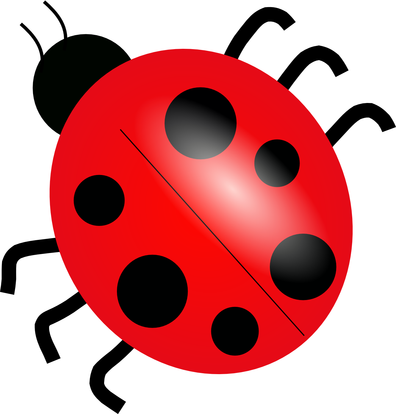 Ladybugs Png Transparent Images Png All