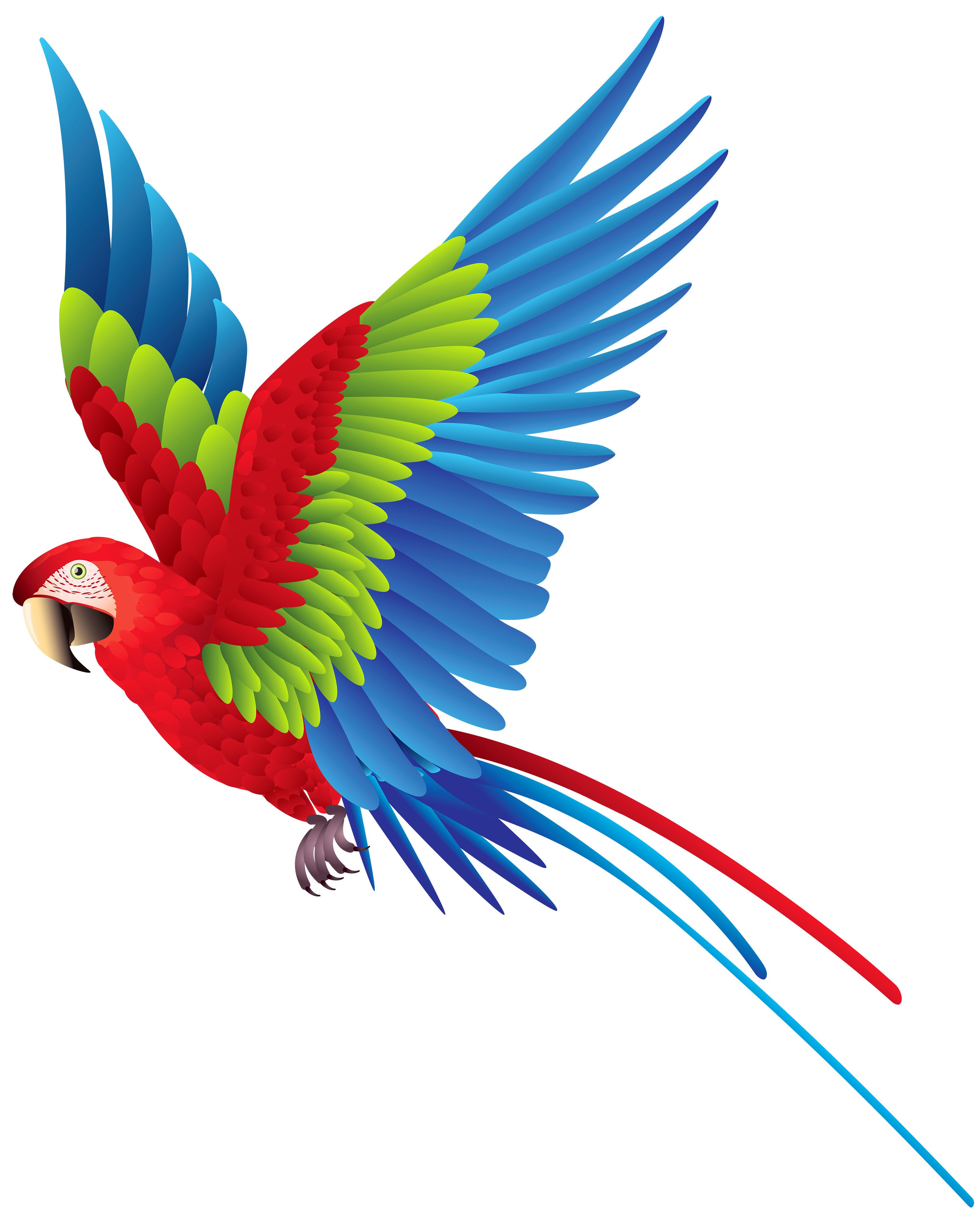 clipart of parrot - photo #48
