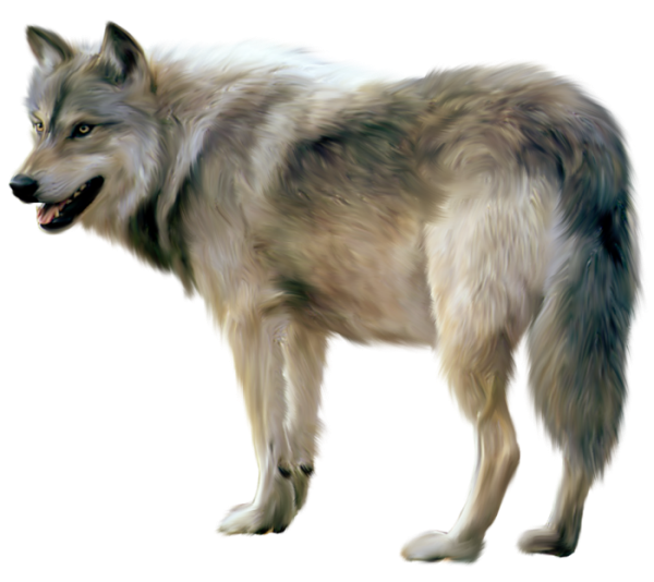 Wolf-Free-PNG-Image.png