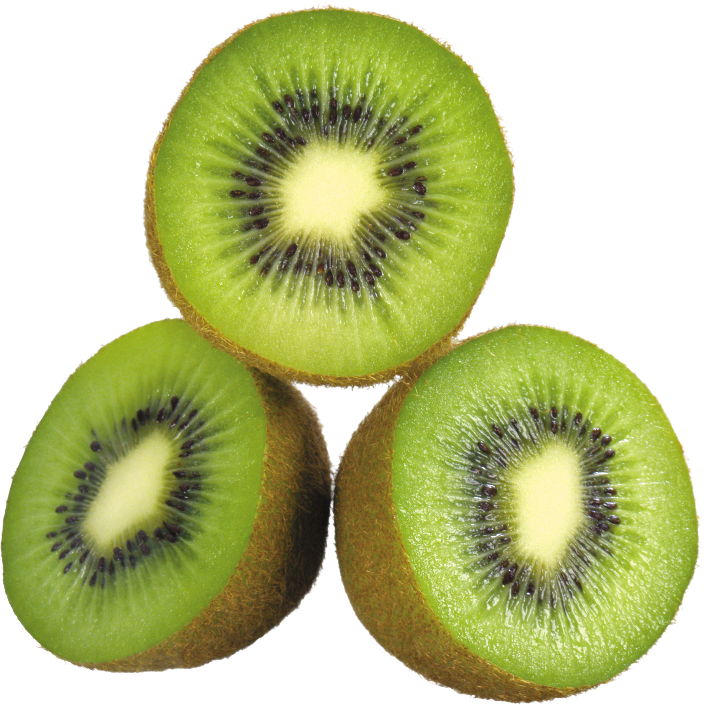 free kiwi fruit clipart - photo #35