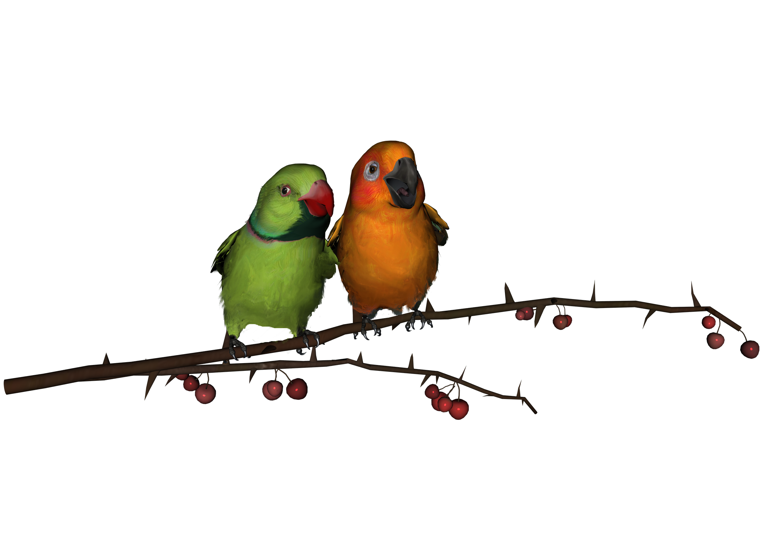 Love Birds PNG Transparent Images | PNG All
