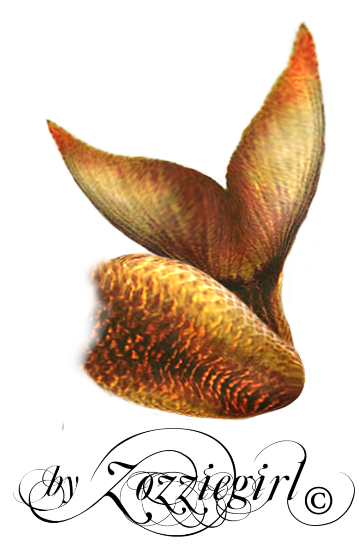 Mermaid Tail PNG Transparent Images | PNG All