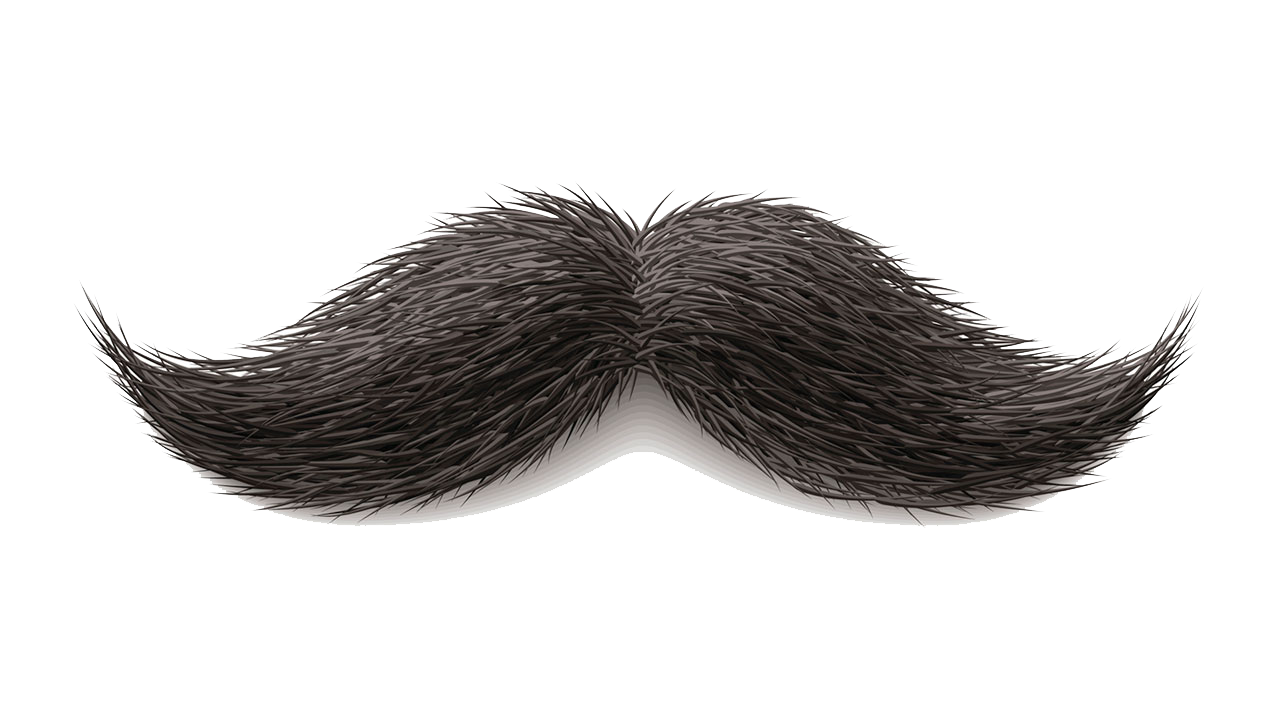 Moustache-PNG-Image.png