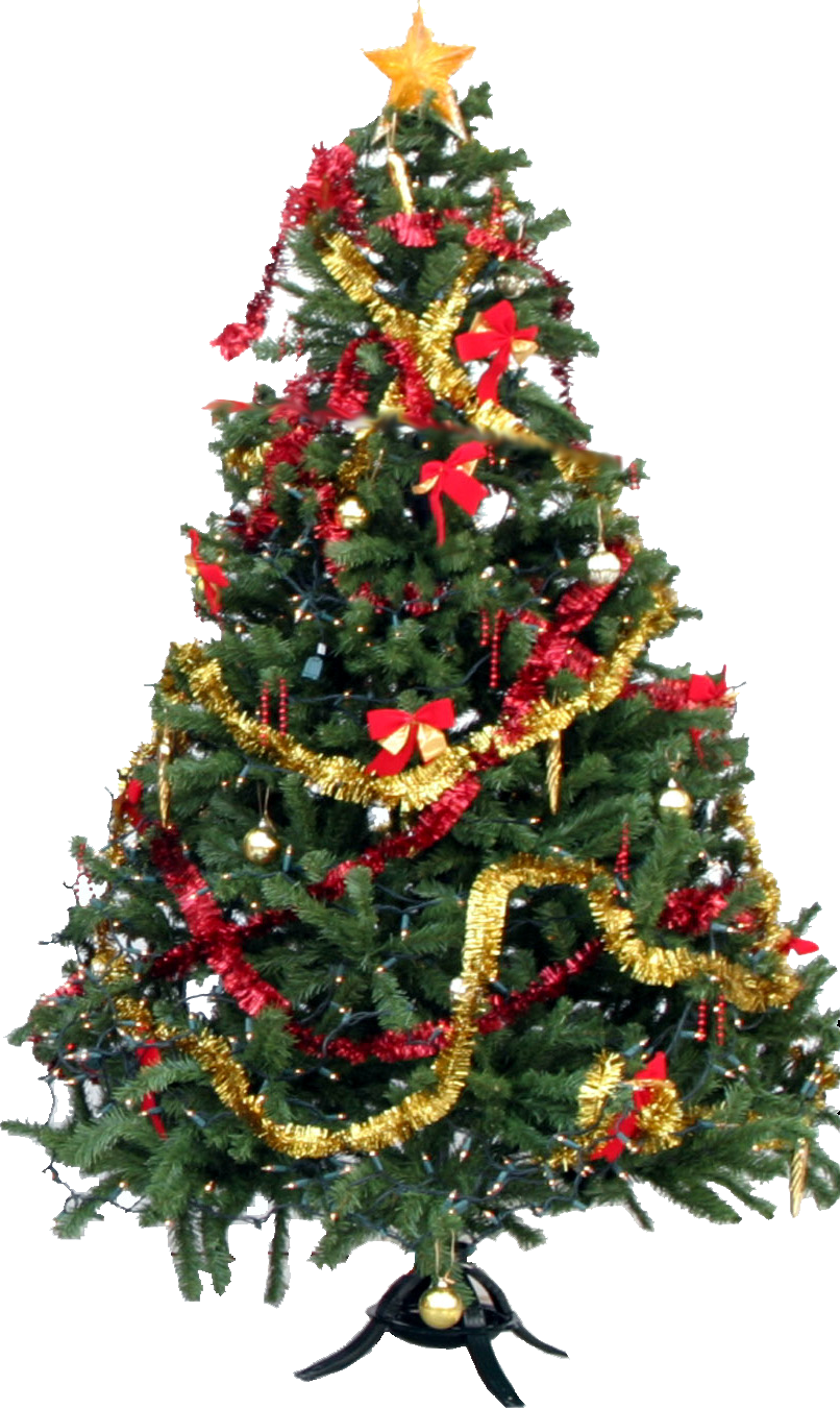 Christmas Tree PNG Transparent Images  PNG All