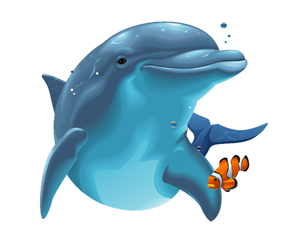 Dolphin PNG Transparent Images | PNG All