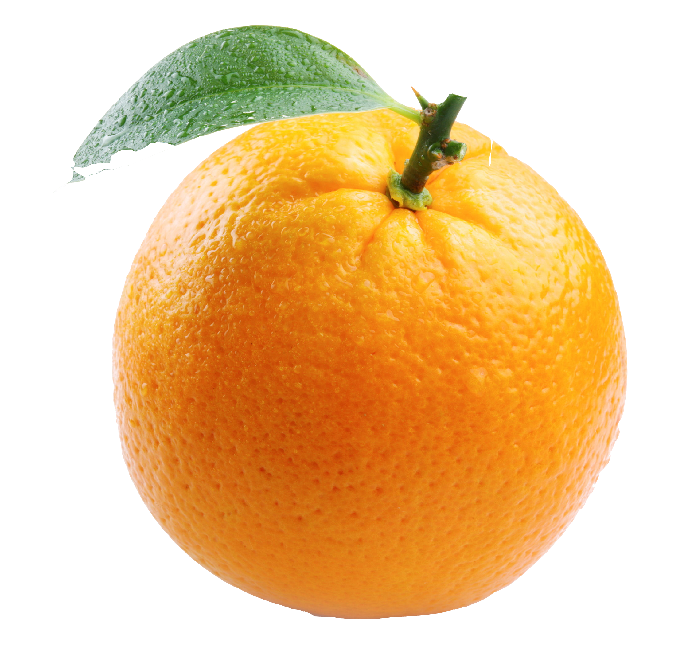 Featured image of post Orange Images Hd Png / Please use search to find more variants of pictures and to choose between available options.