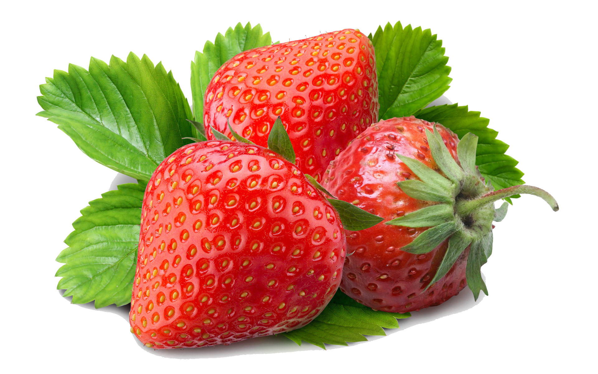 Strawberry Hair Goatlings with Blond Spots - wide 9