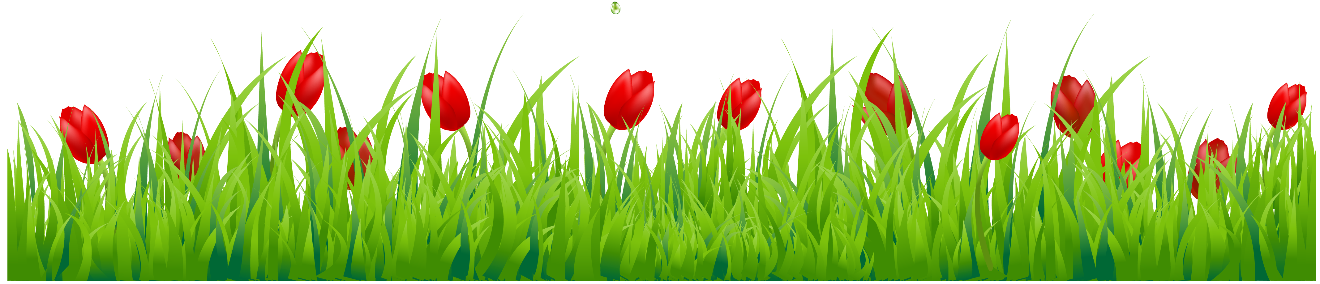 spring tulips clip art - photo #29