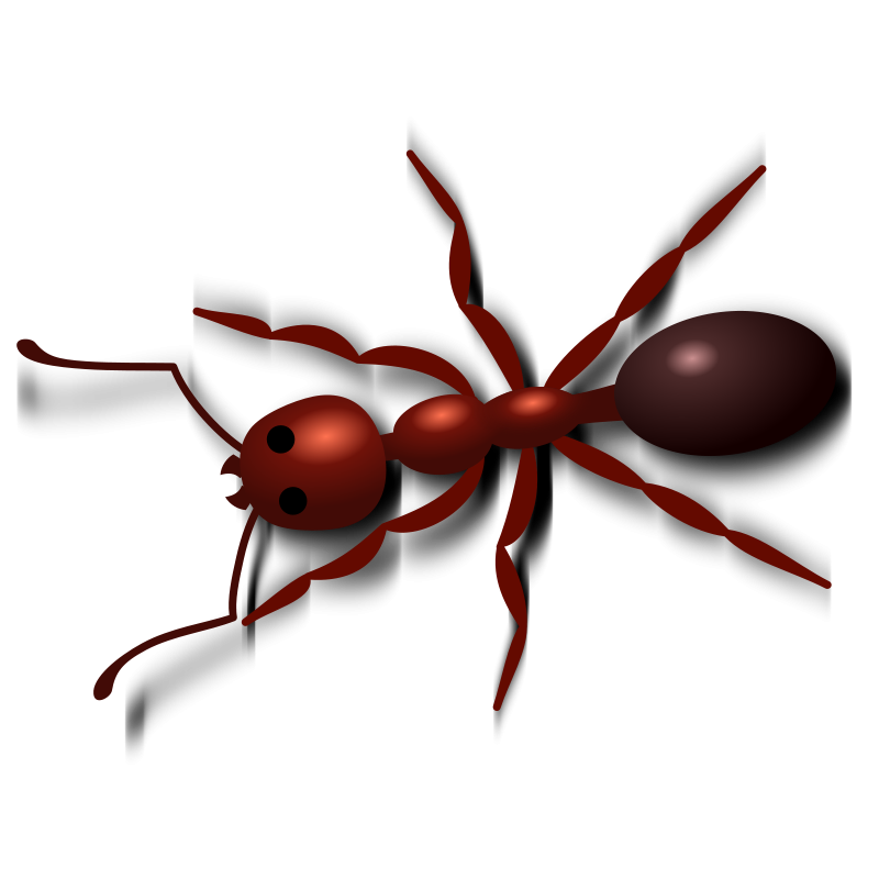 queen ant clipart - photo #11
