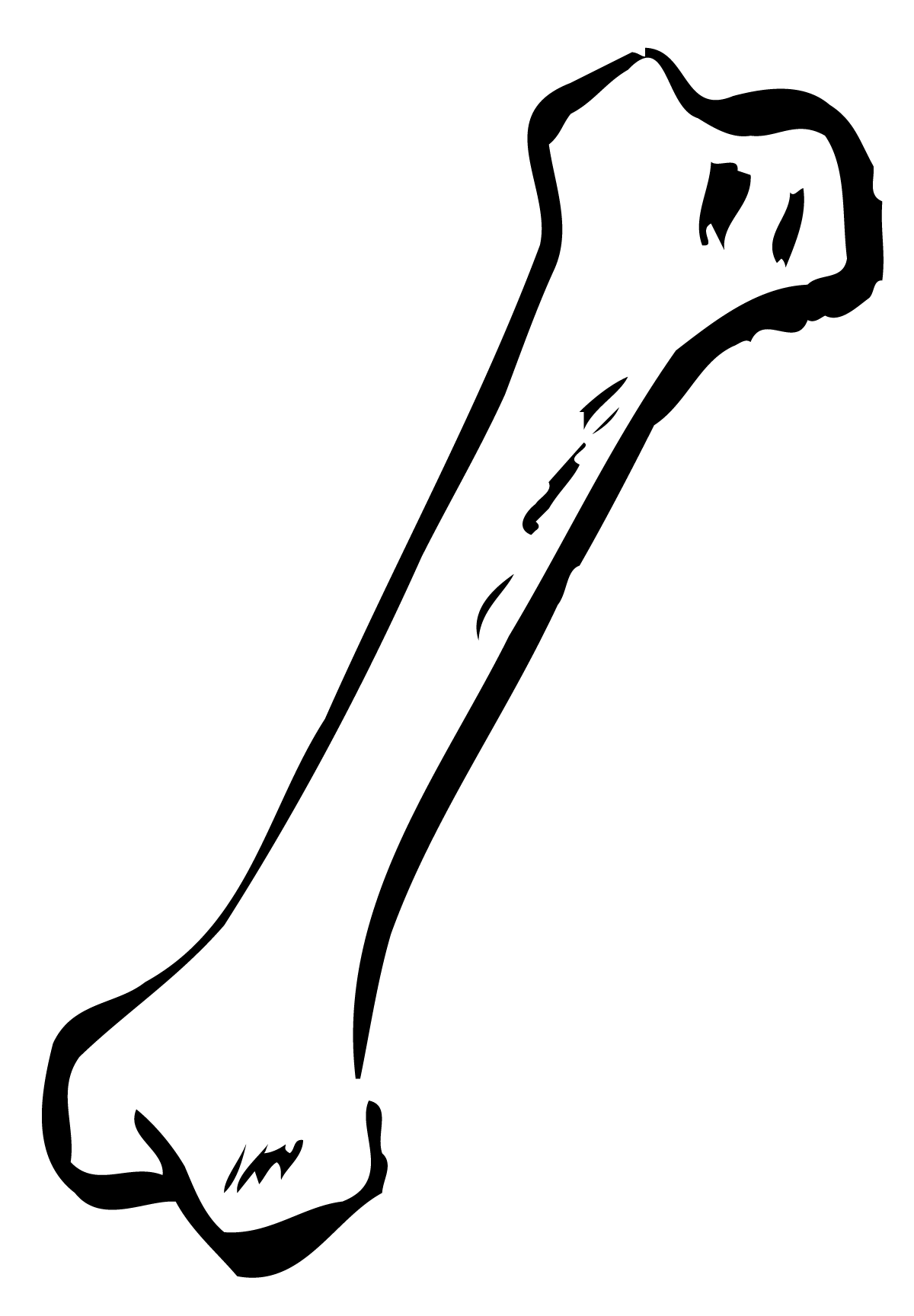 clipart human skeleton outline - photo #38