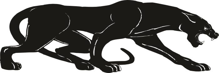 Panther PNG Transparent Images | PNG All