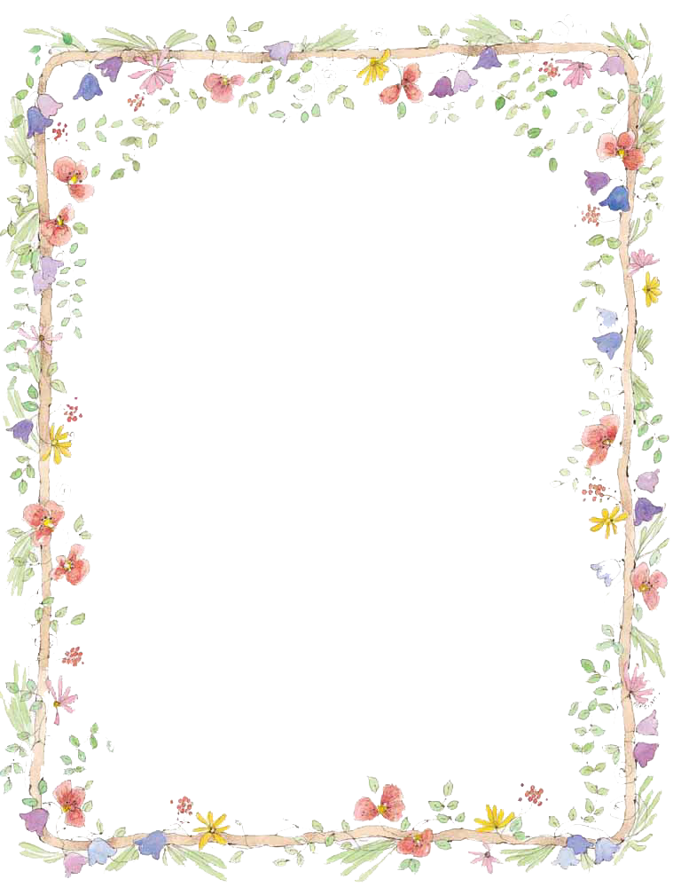 Flowers Borders Download PNG | PNG All