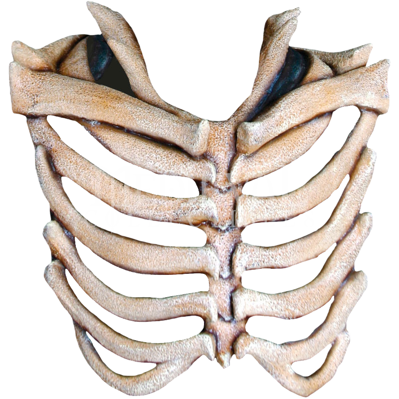 Rib Cage Png Transparent Images