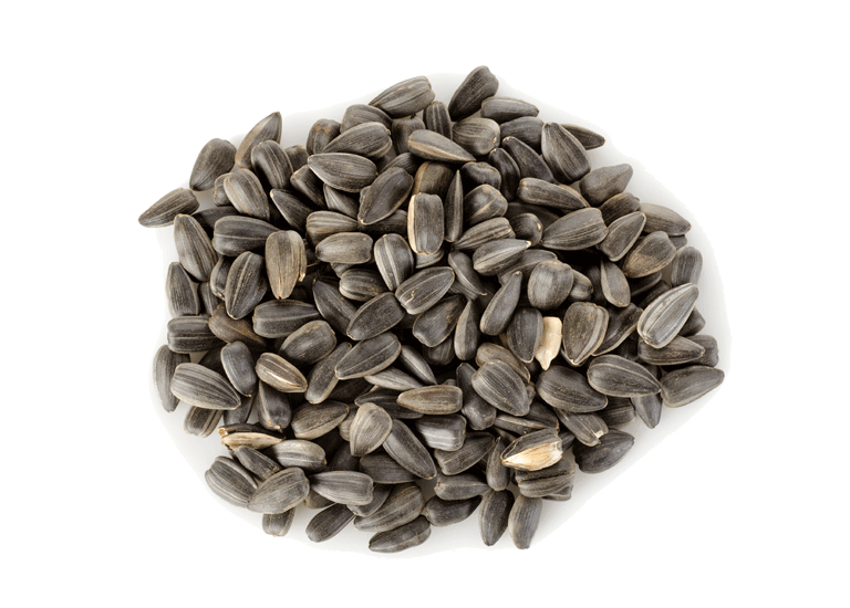 Sunflower Seeds Png Png Image Collection