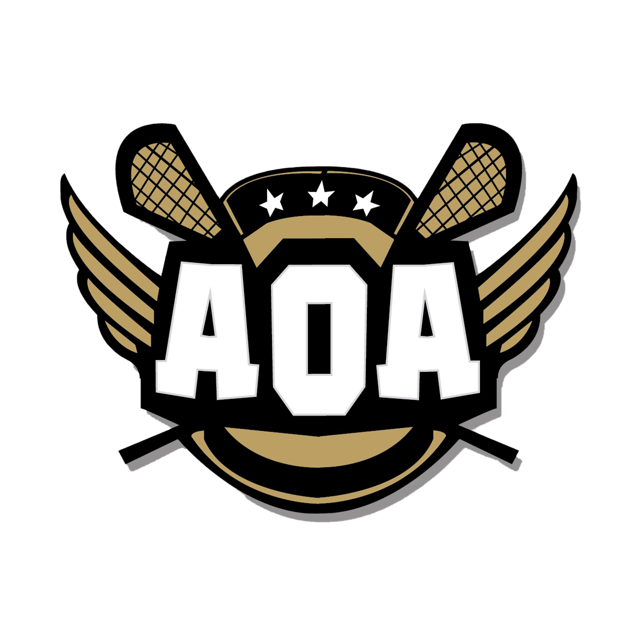 Aoa Logo Png Png All