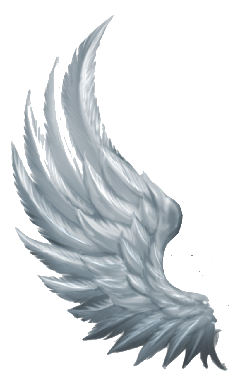 Wings Png Transparent Images Png All
