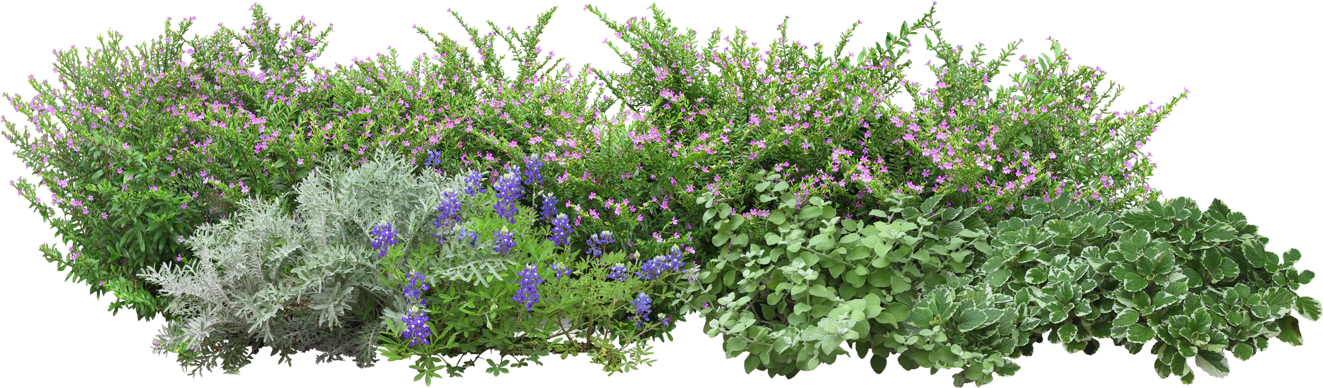 Garden Png Images Png All