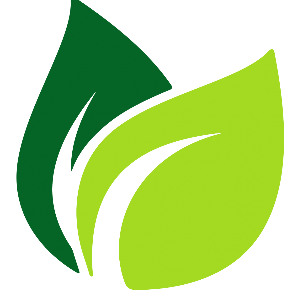 Green Leaf PNG Free Image | PNG All
