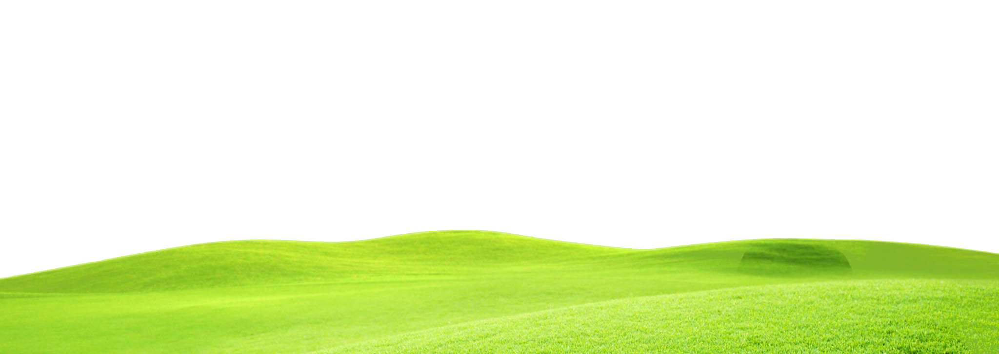 Grass Ground Png Png All Png All