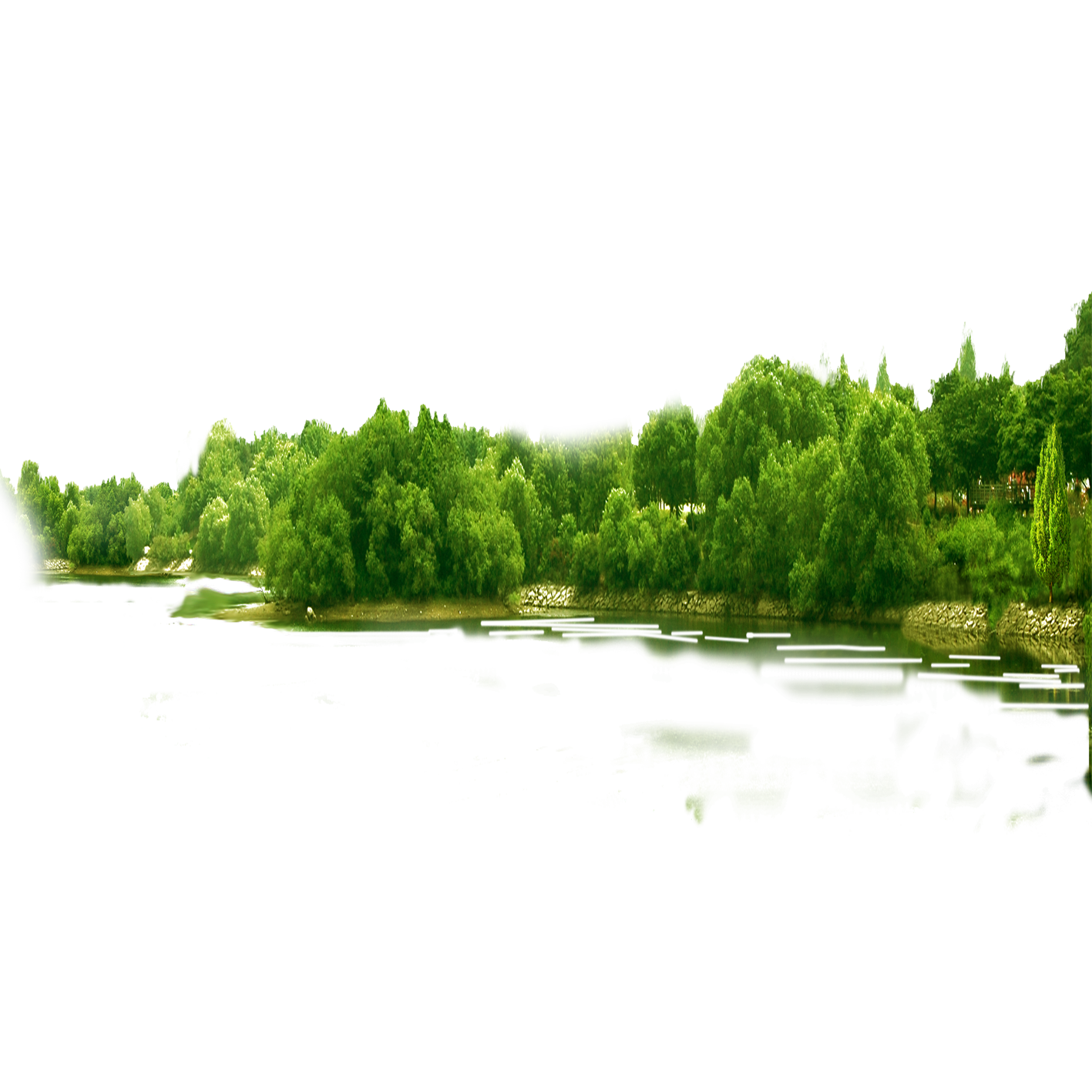 Forest PNG HD