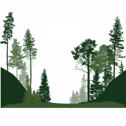 Forest PNG Image File