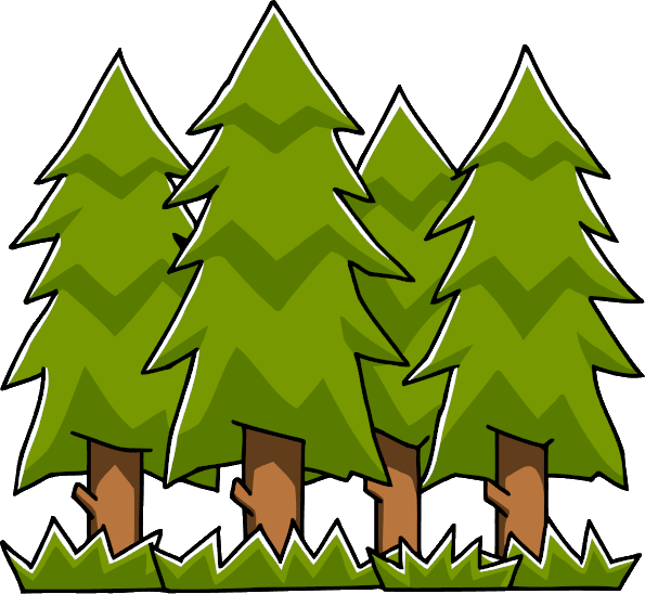 Forest PNG Images