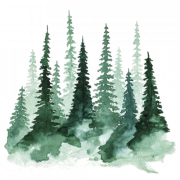 Forest PNG Pic