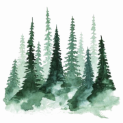 Wald PNG transparentes HD -Foto