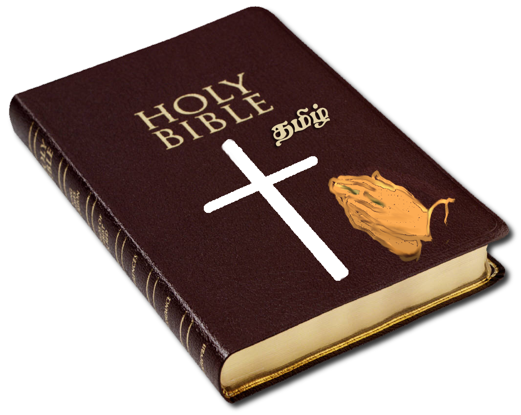 Holy Book PNG Picture