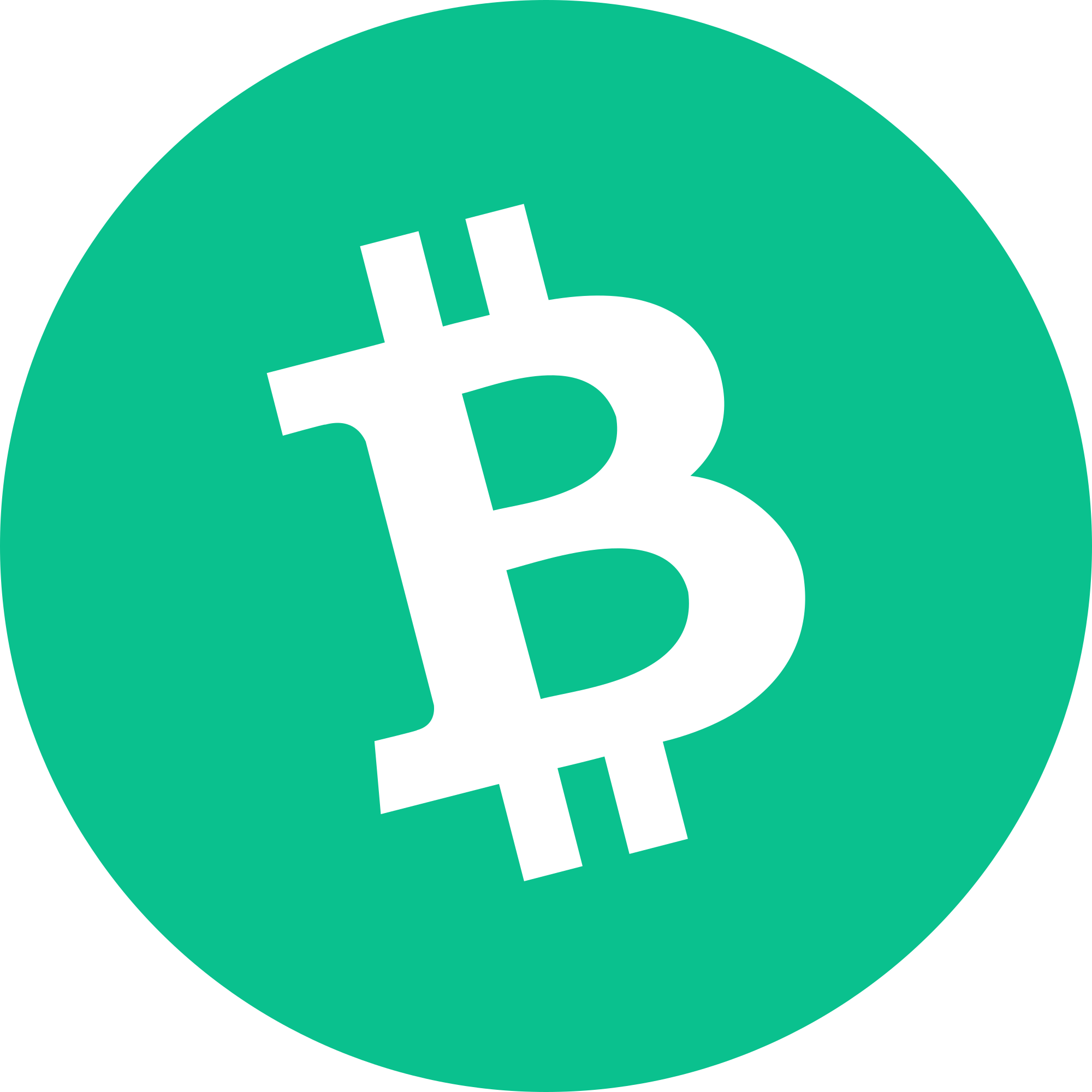 Bitcoin Cash Crypto Logo PNG HD Image