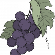 Black Grapes PNG Cutout