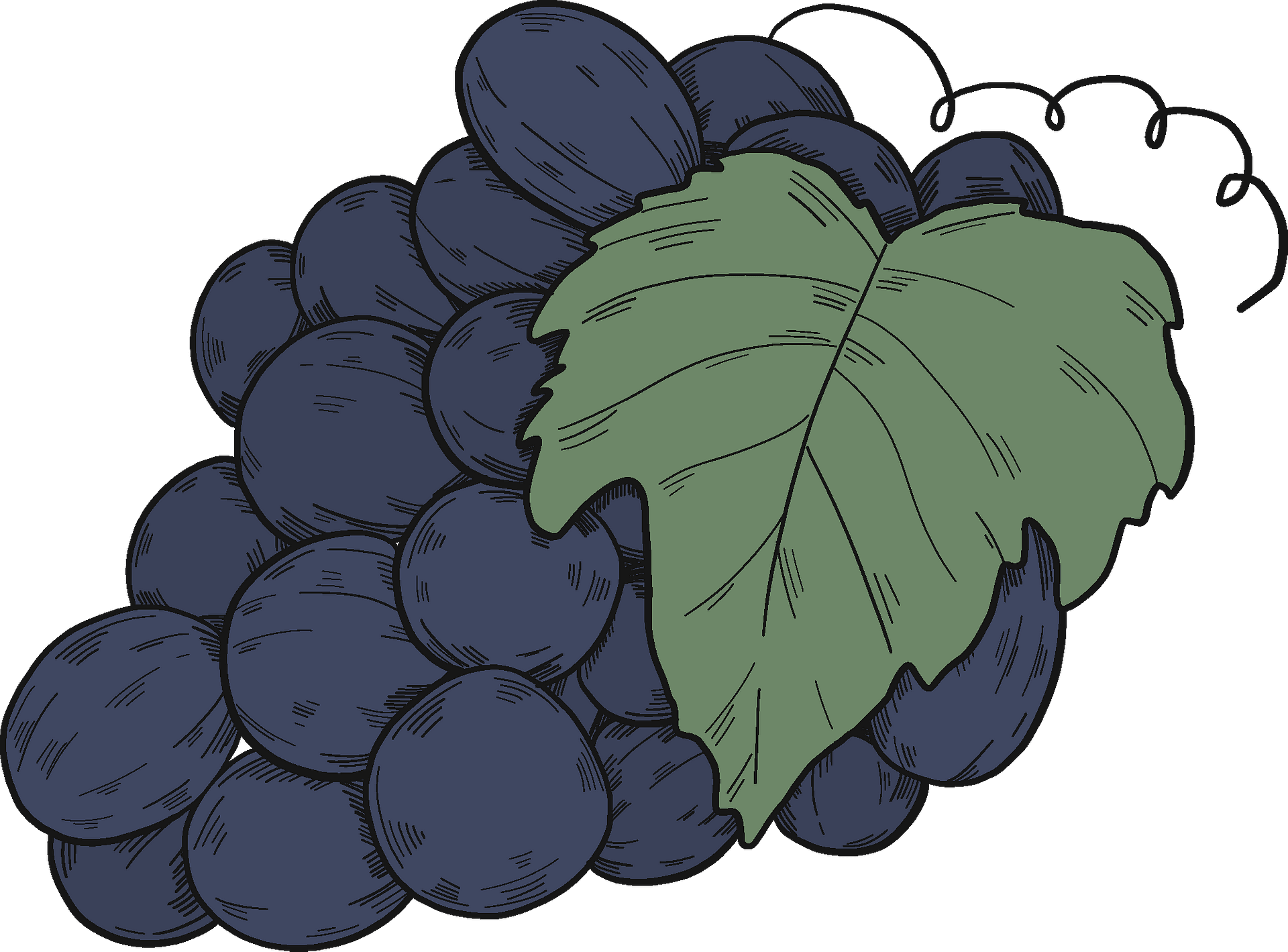 Black Grapes PNG File