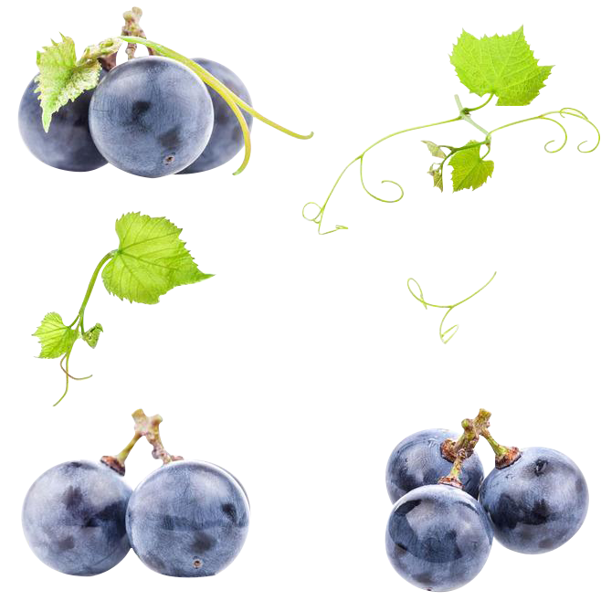 Black Grapes PNG Free Image