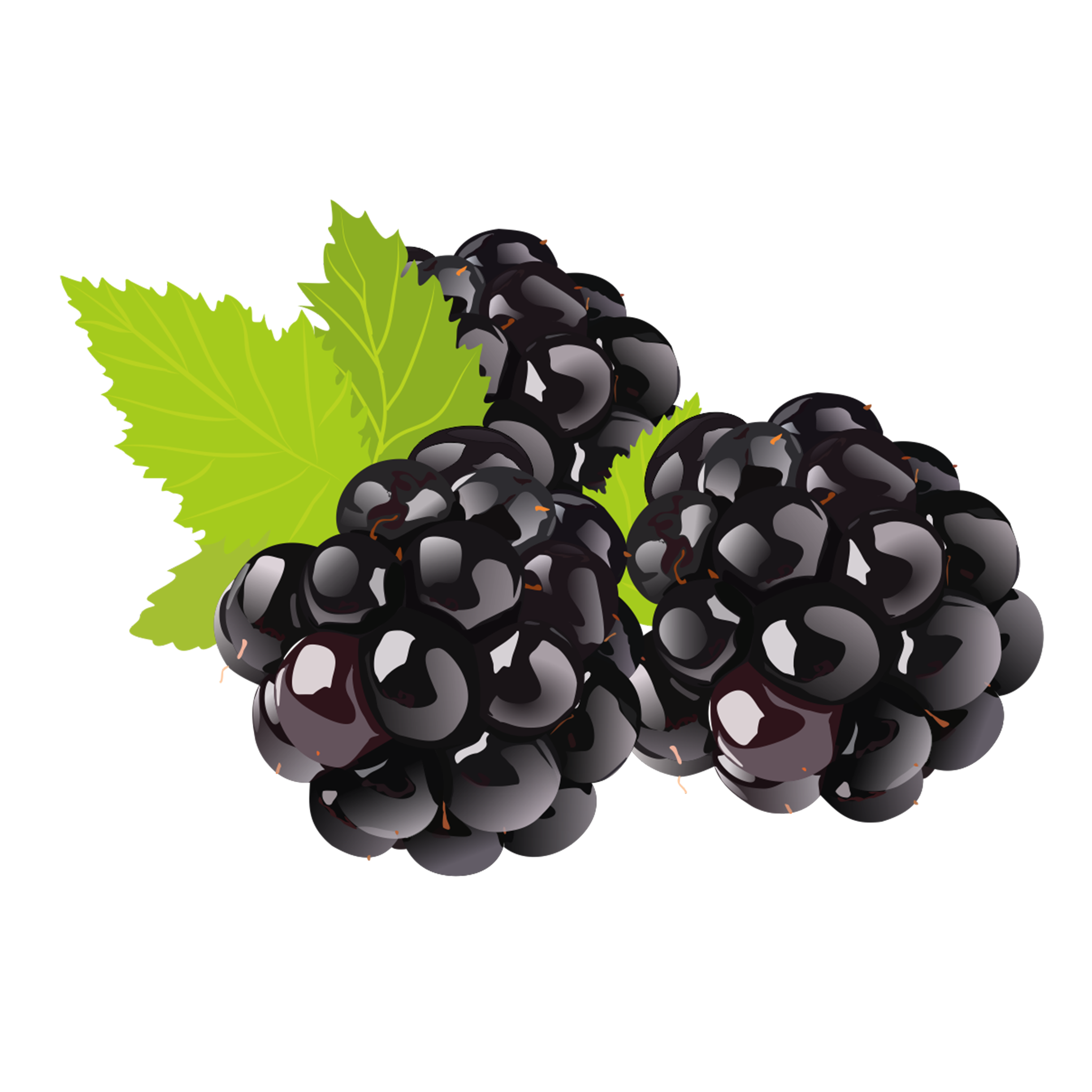 Black Grapes PNG Image
