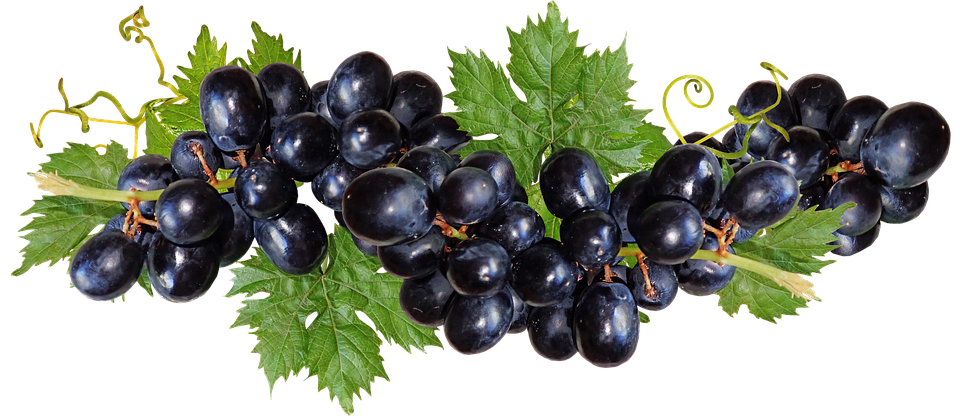 Black Grapes PNG Images