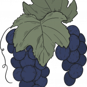 Black Grapes PNG Photo