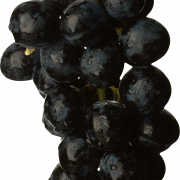 Black Grapes PNG Picture