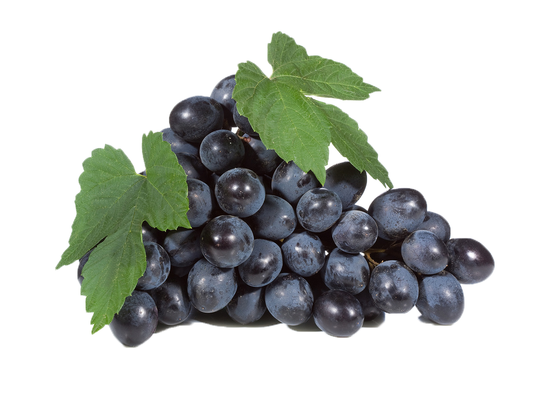 Zwarte druiven PNG
