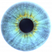Olhos azuis PNG Cutout