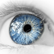 File trasparente degli occhi blu