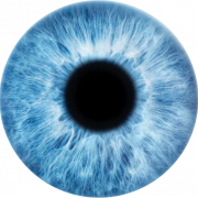 Mavi gözler vektör indir bedava png