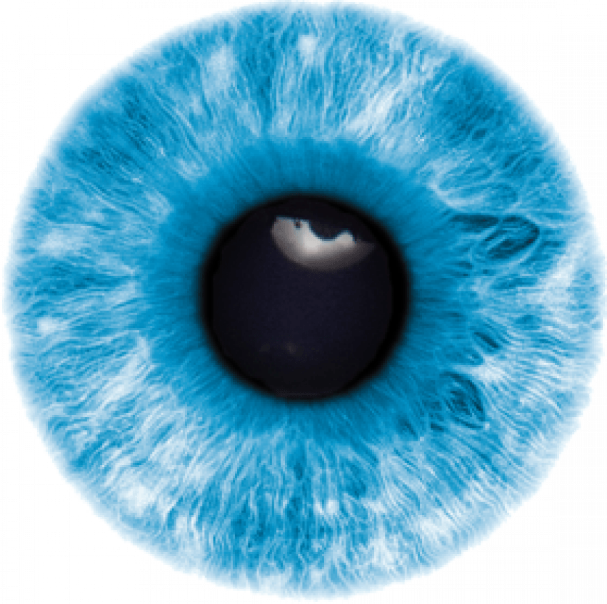 Blue Eyes Vector PNG Free Image