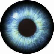 Archivo de imagen PNG de vector de ojos azules