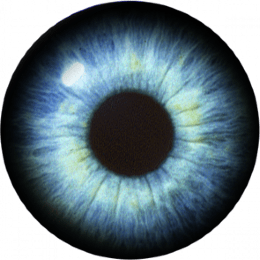 Blue Eyes Vector PNG Image File